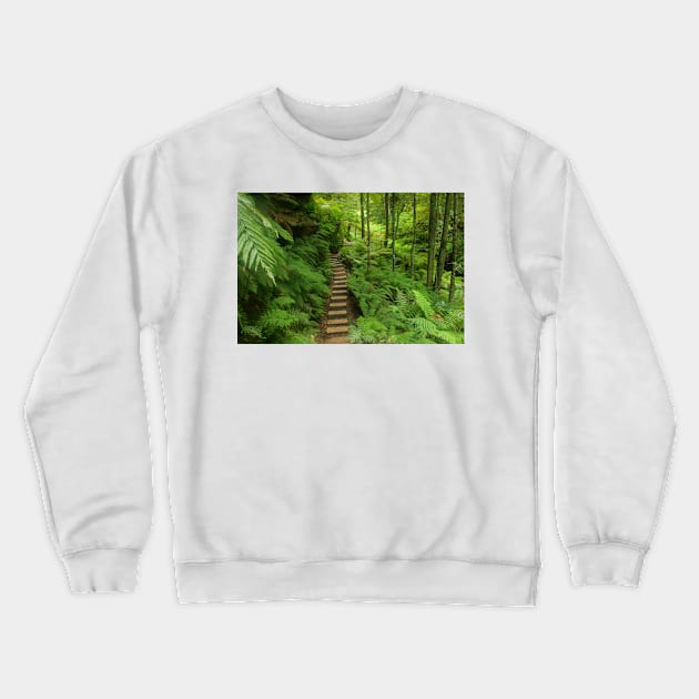 Pathway of ferns Crewneck Sweatshirt by Michaelm43